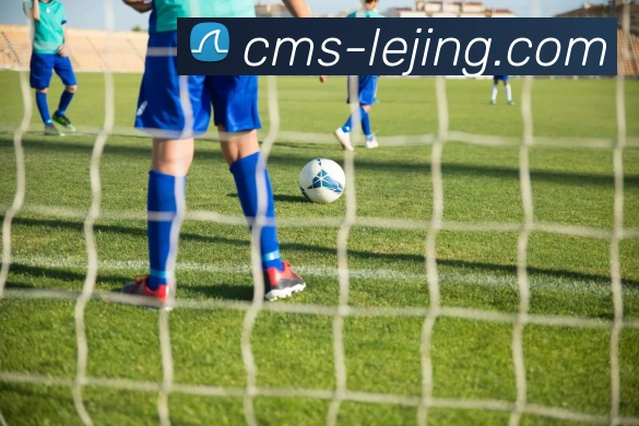 乐竞体育APP 高清赛事图